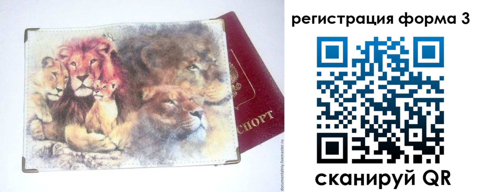 прописка в квартире в Луге